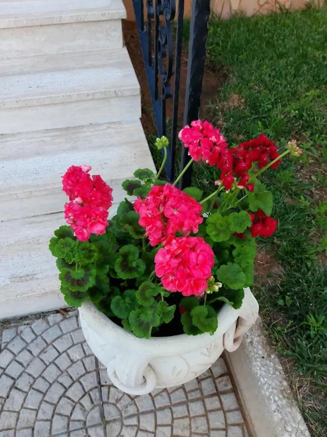 Bed & Breakfast Villa Emy Trabia